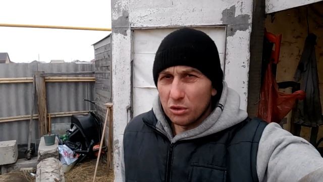 живой вес моего кролика и мясом, з.а.б.о.й кролика смотреть онлайн