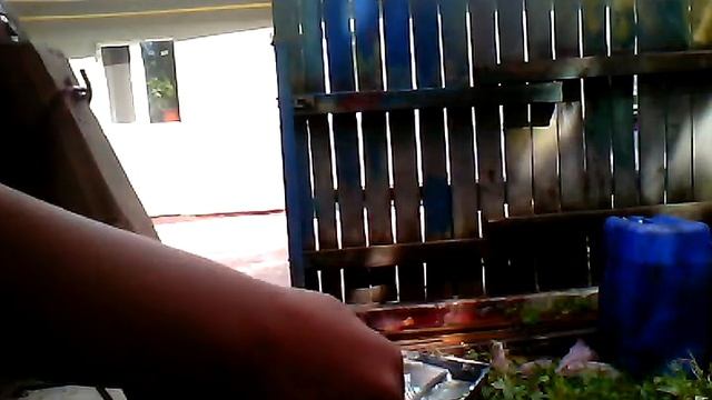 обзор скобочника