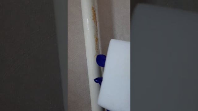 Домовладельцы и Сад