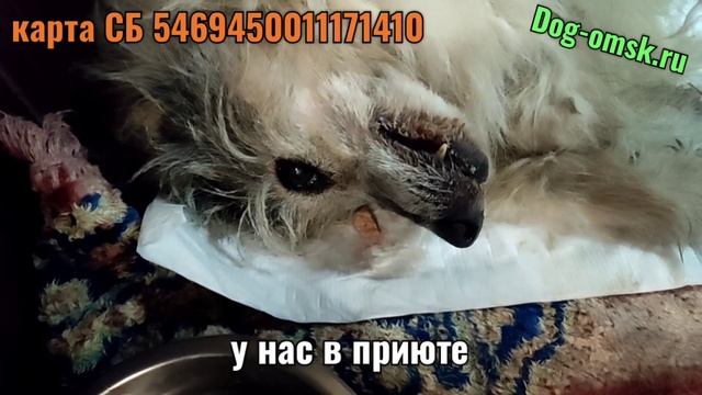 Будет ли жить ОСТА? смотреть онлайн