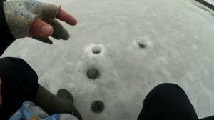 Плотва на безмотылку на Рыбинском водохранилище. Сложная рыбалка на Рыбинке по последнему льду.