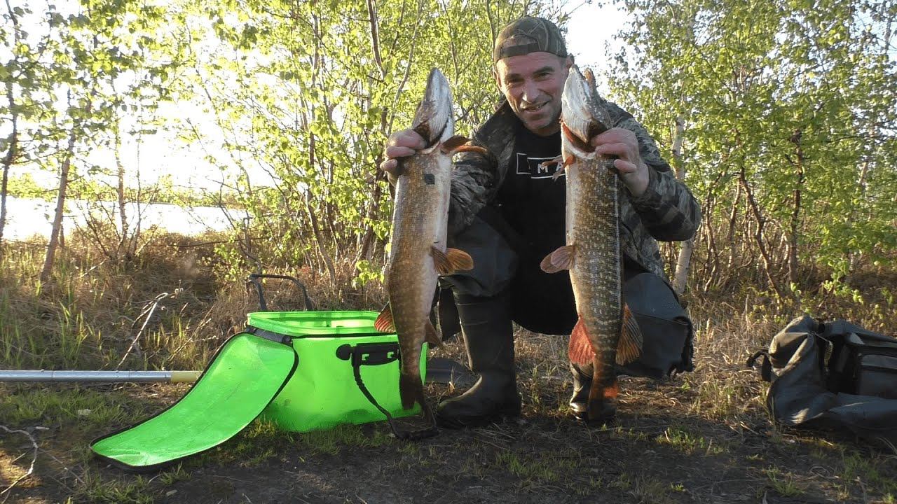 ЭТО УДАЧА,ПЛЙМАТЬ ТАКИХ ЩУК В ЭТОМ ОЗЕРЕ.РЫБАЛКА НА СПИННИНГ. смотреть онлайн