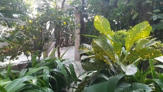 Бангладеш ?? (Bangladesh) город Пабна. Ratnodweep Resort. отель
