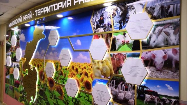 Предметно-пространственная среда КГБОУ ШИ 12 смотреть онлайн
