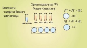 Реакция агглютинации (ориентировочная и развёрнутая)