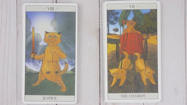 The Way Jodorowsky Explained Tarot to his Cat 🐱 Tarot Deck Flip Through, Walkthrough 🐱 Tarot Cards смотреть онлайн