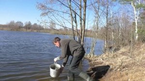 Зарыбление пруда (2 часть)