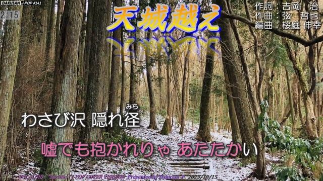 【ボーカロイド・幸子】歌謡曲「天城越え」カバー J-POP#141 ～VOCALOID Sachiko が日本のポップスを唄う～ #石川さゆり смотреть онлайн