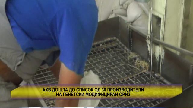 АХВ ДОШЛА ДО СПИСОК ОД 30 ПРОИЗВОДИТЕЛИ НА ГЕНЕТСКИ МОДИФИЦИРАН ОРИЗ смотреть онлайн