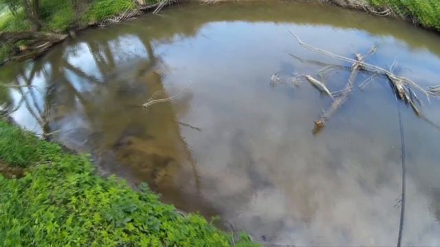 Ловля форели на спиннинг. Как нужно ловить форель? смотреть онлайн