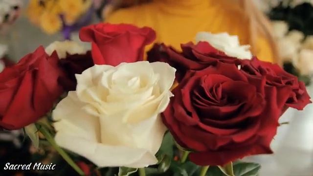 Хорошая музыка?Сборник лучших мелодий, от которых мурашки по коже?Красивые цветы смотреть онлайн