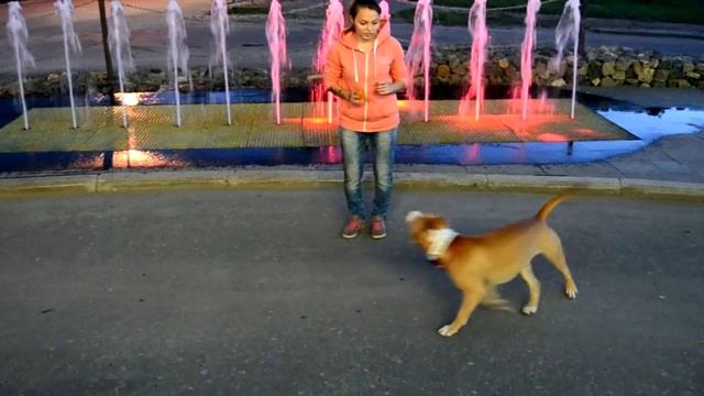 For Active Life 2 (Public Edition) смотреть онлайн