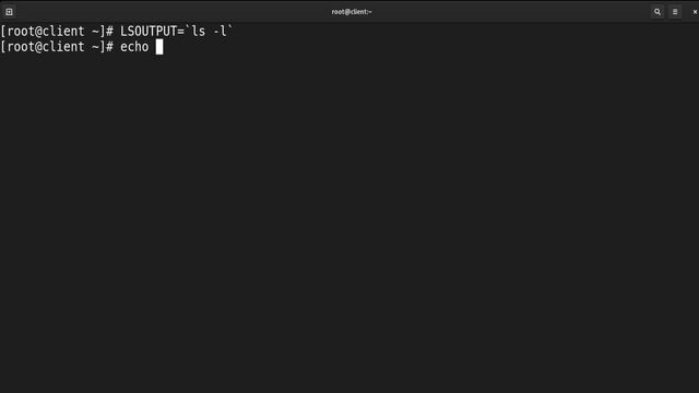 Variables in Shell Scripting: Shell Variables, User Variables, and Creating Scripts with Variables смотреть онлайн