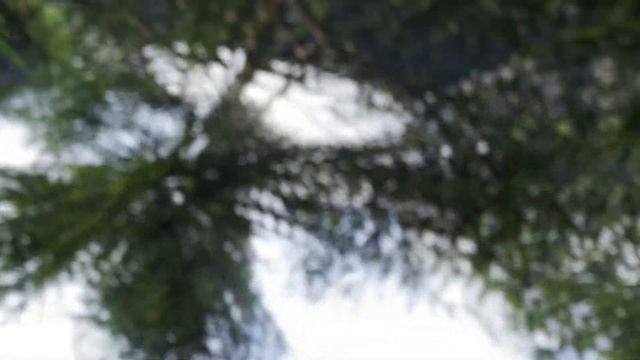 Far Cry 4 Part 1 | i9-10900F | RTX 2080 Super | 1080p 60 FPS Ultra Preset смотреть онлайн