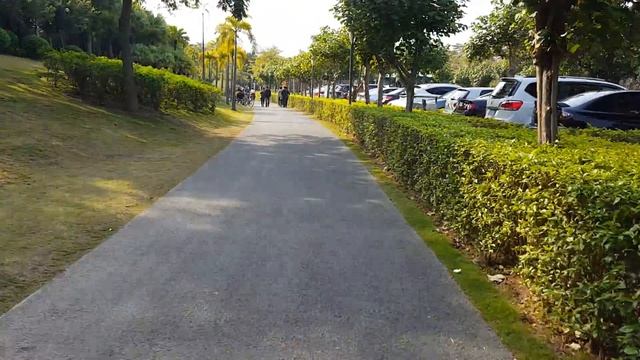 Видео езды на велосипеде в Шэньчжэне Набережная Шэньчжэня смотреть онлайн