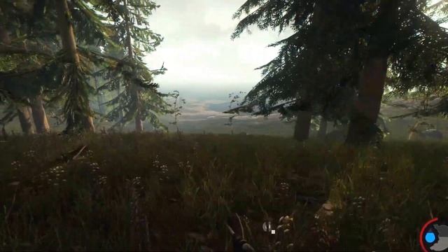 The Forest Multiplayer Gameplay E2 смотреть онлайн