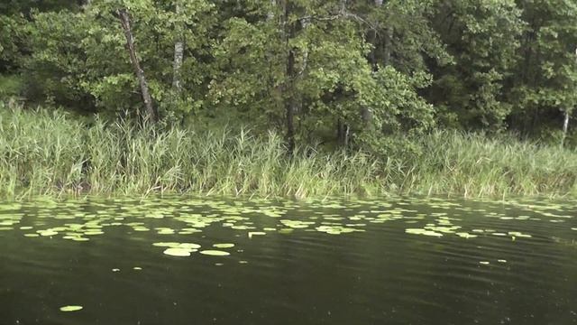 Врезаюсь в Коряги в Ливень Бологое смотреть онлайн