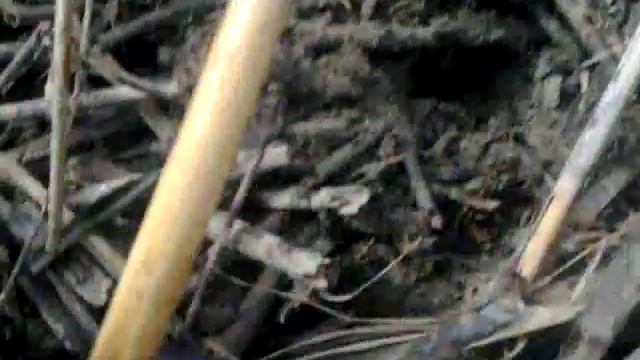 Рыбалка в Серебряковке смотреть онлайн