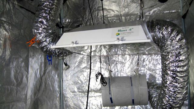 Grow lights | Wikipedia audio article смотреть онлайн