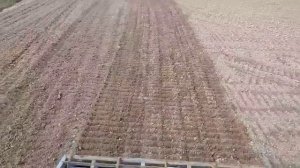 Самодельный культиватор с катком.?