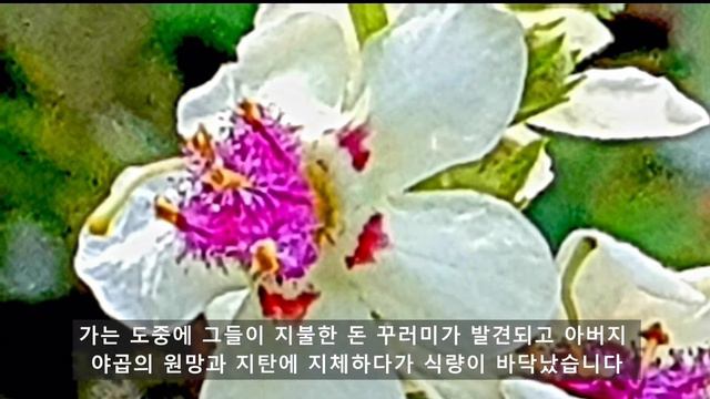 형들을 만난 요셉과 하나님의 섭리ㅡ 요셉 6 смотреть онлайн