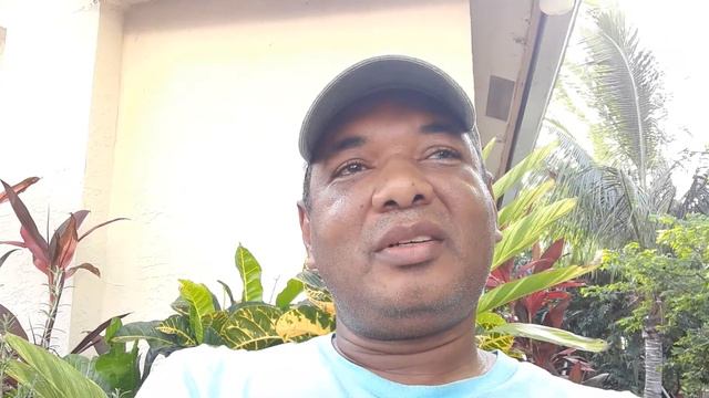 Remembering Old-Time Jamaica | What Do You Remember? смотреть онлайн