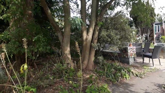 Первый поход к физиотерапевту в Англии. Синдром конского хвоста . смотреть онлайн