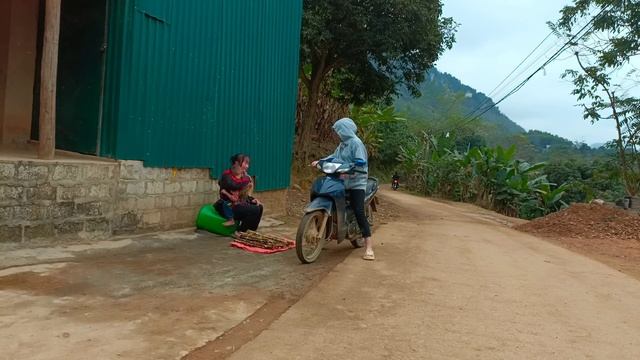 Single Mother Harvests Sugarcane To Sell, Checks Her Savings To Buy Land
