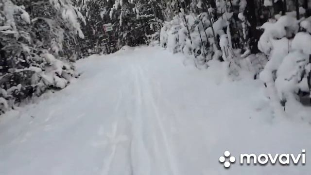 Приехали поситить весёлый спуск смотреть онлайн