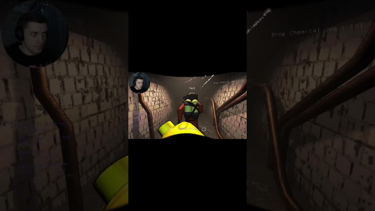 ЛУЧШЕЕ "СПАСЕНИЕ" LETHAL COMPANY #LethalCompany #MadKelt #game смотреть онлайн