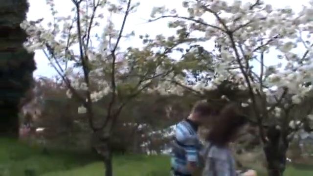 15_04_2012_ДЕНДРАРИЙ_СОЧИ.mp4 смотреть онлайн
