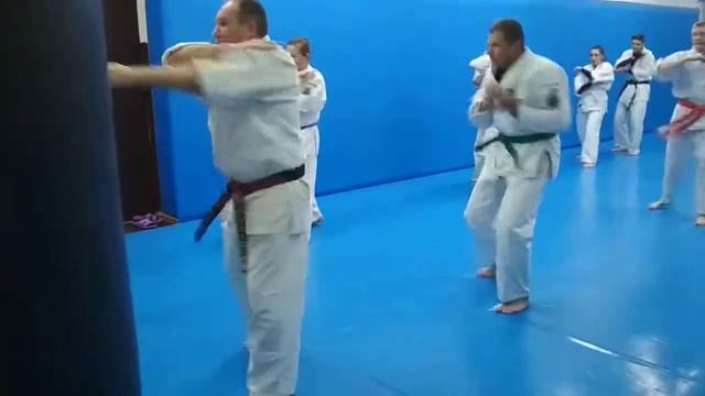 аттестация  Kakuto Ju Jutsu кихон