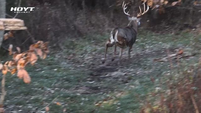 Using Calls When Deer Hunting, What We've Learned Through Success And Failure | Midwest Whitetail смотреть онлайн