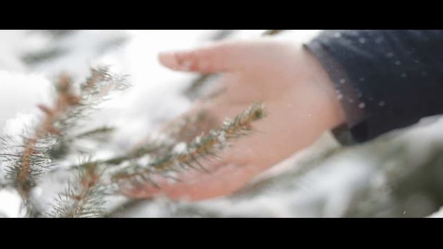 Закарпаття. Золотий саксофон № 1. гурт Голоси Боржави смотреть онлайн