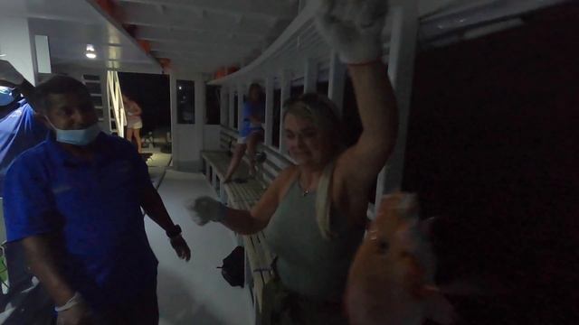 DAY 9 KUREDU MALDIVES | SNORKEL THE HOUSE REEK AND COMPETITIVE NIGHT TIME HAND LINEFISHING смотреть онлайн