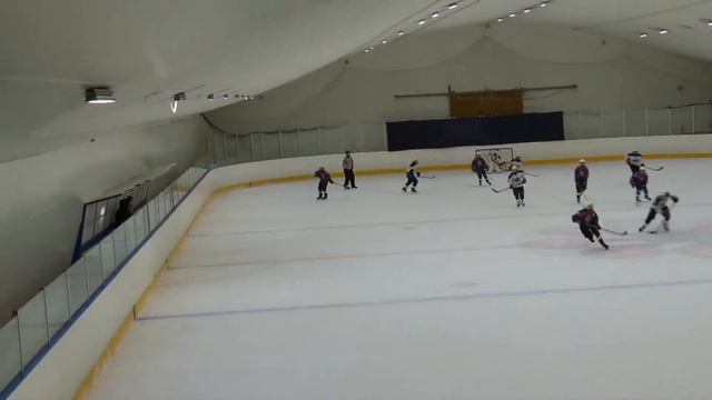 Обзор игры ХК Олимпийские надежды 08 - ХК Красная звезда 08 смотреть онлайн