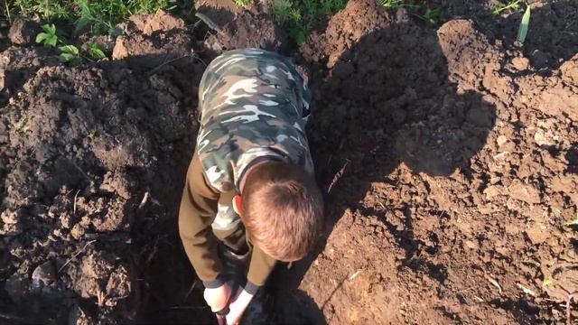 Копаю копанку, пруд для рыбы смотреть онлайн