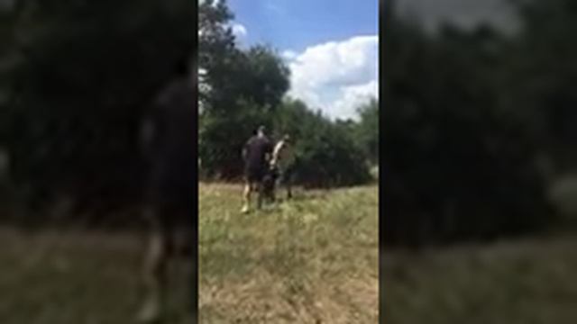 Доберман.ЖЕСТЬ!!! Защита хозяина! смотреть онлайн