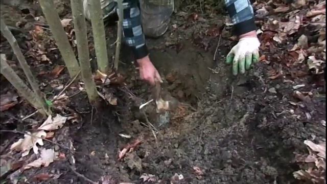 Бомбардировщик ДБ 3, работа на месте падения смотреть онлайн