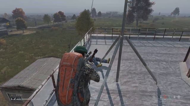 DayZ Hunger macht dich zum Tier🥲 смотреть онлайн