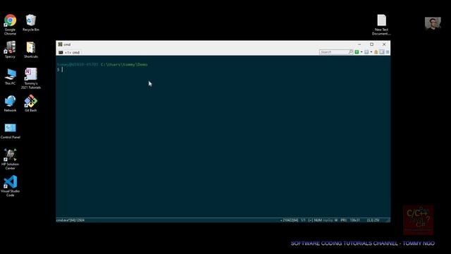 Installing TDM GCC (C++) Compiler and Using with VSCode | Software Coding Tutorials Channel смотреть онлайн
