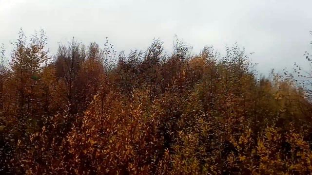 Движение - это жизнь смотреть онлайн
