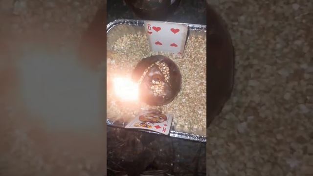 ВЫЙТИ ИЗ ЛЮБОВНОГО ТРЕУГОЛЬНИКА.ОБРЕСТИ ЛЮБОВЬ❤❤❤??? смотреть онлайн