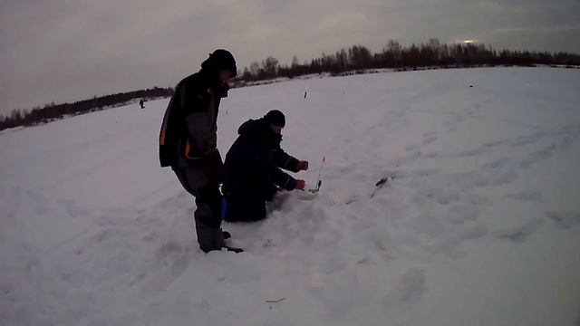Кто рыба?.mp4 смотреть онлайн