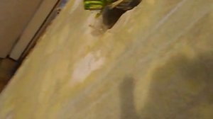 Каналы проводки.Как искать.Дом.Панельная.пятиэтажка.Начало.