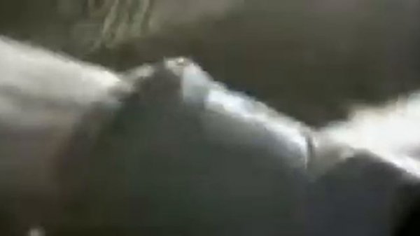 The Kelly Family - Flip A Coin.avi