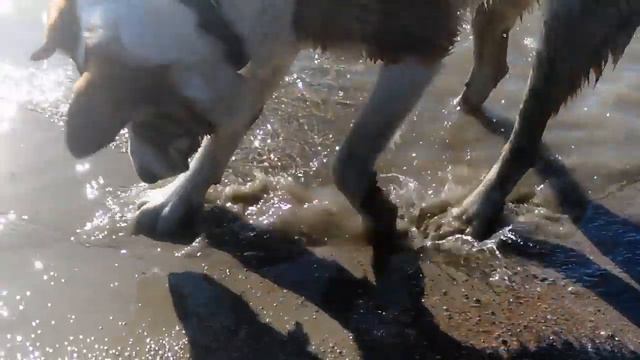 Шанс. На море. Копаем смотреть онлайн