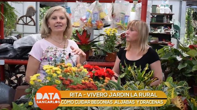 RITA - VIVERO JARDÍN LA RURAL смотреть онлайн