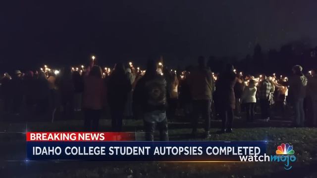 5 Recent True Crime Stories Explained