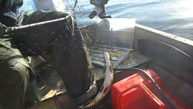 фото рыбалка 042.avi смотреть онлайн